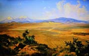 valley fields